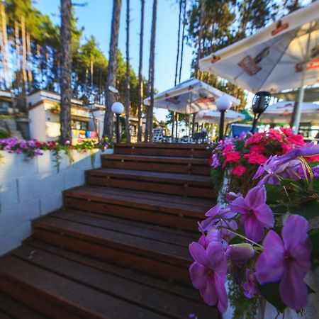 Dream View Hotel เบียลา ภายนอก รูปภาพ